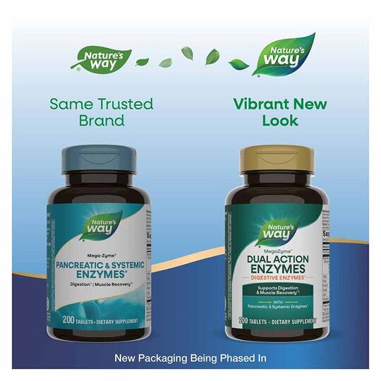 Mega-Zyme 10x Strength Pancreatic Enzymes, NWA